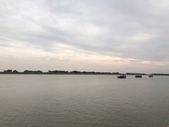 -大湾区中央湿地公园-十九涌
