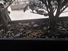 -张兴邦擀面皮(禧悦里店)