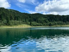 -武陵山森林公园