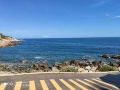 -广东惠东海龟国家级自然保护区