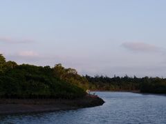 -东寨港红树林旅游区