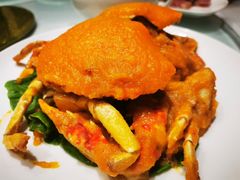 -瑞福园联谊餐室(茂名南路店)