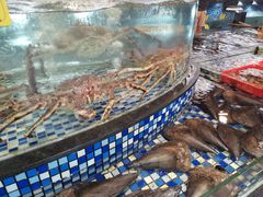 -顺德了能馆(虎门店)