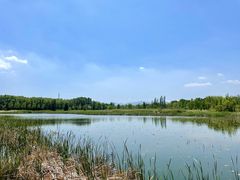 -野鸭湖国家湿地公园