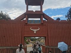 -彩色沙林风景区