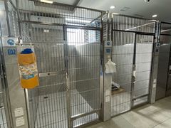 -北京派仕佳德动物医院·超导核磁·CT·神经科·骨科·内外科·急重症管理中心