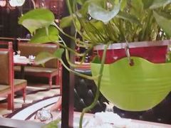 -城南往事·鲁菜济南菜(长清园博园恒大绿洲店)