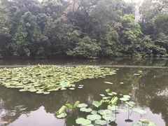 -大埔公路-马料水段香港中文大学(公交站)