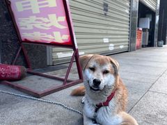 -霍元甲烧烤(江城商务大楼店)