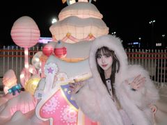 -沈阳奥体冰雪嘉年华