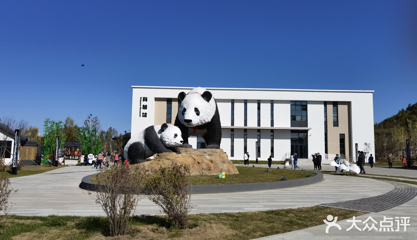 牡丹江爱熊猫小镇-可以假装在四川