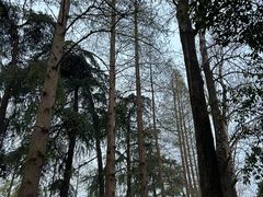 -东南大学(四牌楼校区)