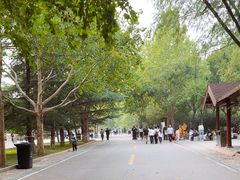 -石家庄市动物园