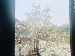 -堤角公园