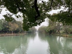 -西溪国家湿地公园