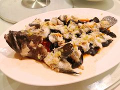 古法蒸老虎斑-利苑酒家(金宝店)