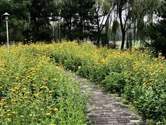 -望湖公园