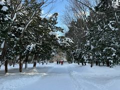 -北海道神宫