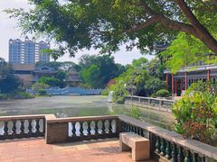 -顺峰山公园