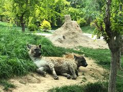 -北京野生动物园