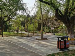 -莲花池公园