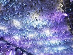 -东方御花园酒店