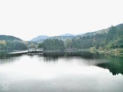 -庐山风景区花径公园