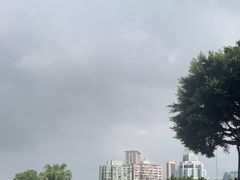 -大炮台