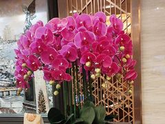 -上海小南国(国发店)