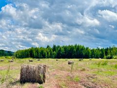 -莫尔道嘎国家森林公园