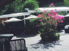 -铂米星座(瑞安店)