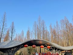 -东平国家森林公园