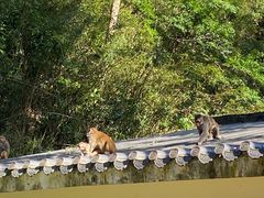 -姑婆山旅游区