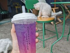 -喵屿·大理花园猫咖