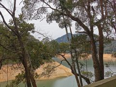 -广州市流溪河国家森林公园