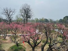 -烟水渔庄餐厅(西溪湿地店)