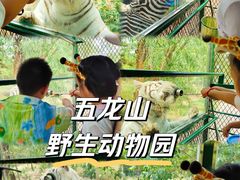 -五龙山野生动物王国