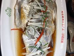 -丹江渔村(首都机场店)