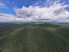 -五营红松林海景区