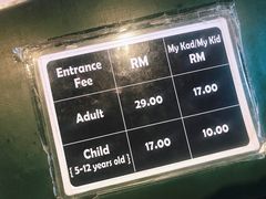 -槟城颠倒博物馆