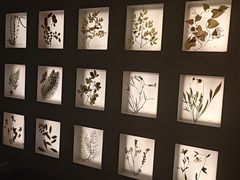 -予厘·推拿按摩·精油SPA(憩舍长安店)