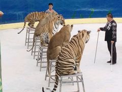 -五龙山野生动物王国