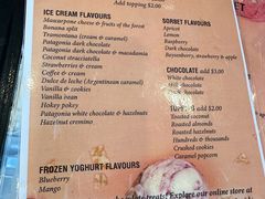 -Patagonia Chocolates(皇后镇店)