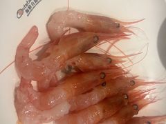 -初色海鲜自助(万丰路店)