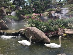 -罗红摄影艺术馆