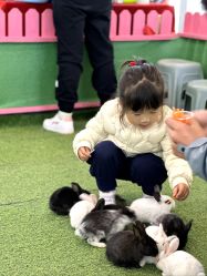 -萌宠亲子动物乐园(槐房万达店)