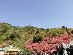 -木兰云雾山