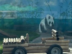 -鄂尔多斯野生动物园