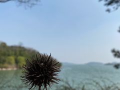 -天目湖涵田度假村