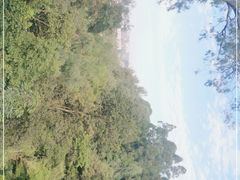 -广州雕塑公园